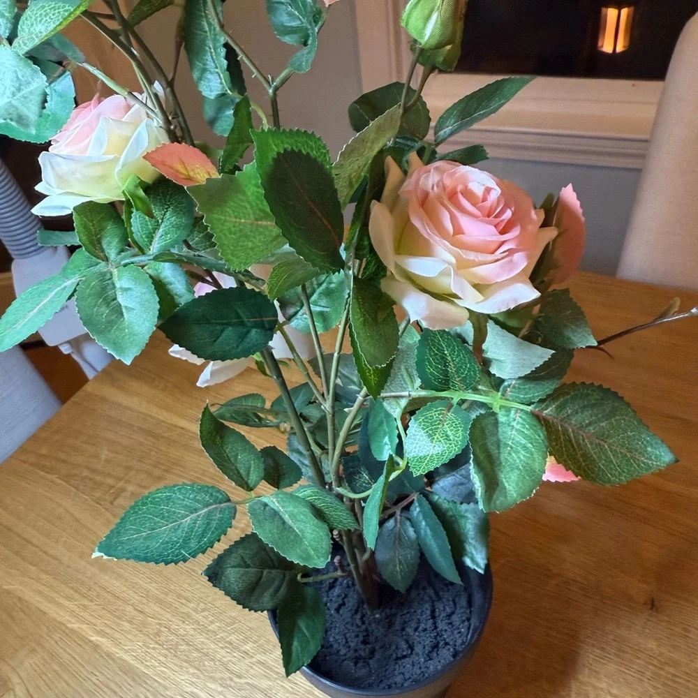 Target Faux Pink Rose Display in Black Planter